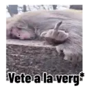 Autocolant