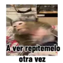 Autocolant