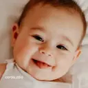 ملصق