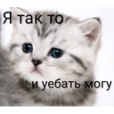 Stika