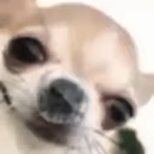 Figurinha