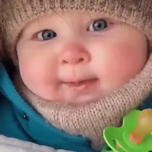 ملصق