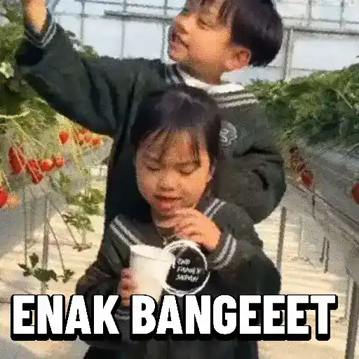 Pelekat