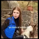 Stika