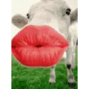 स्टिकर