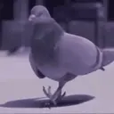 स्टिकर