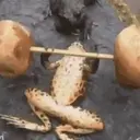 स्टिकर