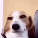 Çıkartma