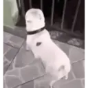 Çıkartma