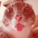 ملصق