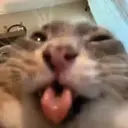 ملصق