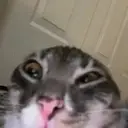 ملصق