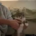 ملصق