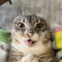 ملصق