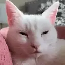 Çıkartma