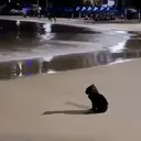 Çıkartma