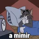 Samolepka