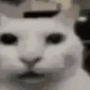 ملصق