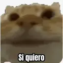 ملصق