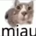 Налепница