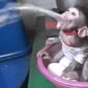 ملصق