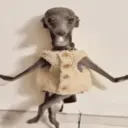 ملصق
