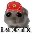 Figurinha