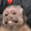 מדבקה