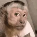 מדבקה