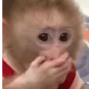 מדבקה