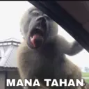 ملصق