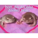 Límmiði
