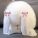 ملصق