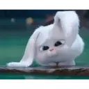ملصق