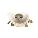 ملصق
