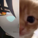 ਸਟਿਕਰ