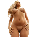 स्टिकर