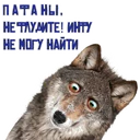Límmiði