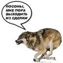 Límmiði