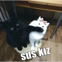 Çıkartma