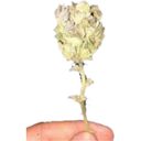 स्टिकर