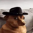 Pelekat