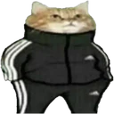 Naljepnica