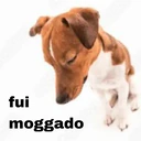 Figurinha