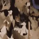 स्टिकर
