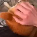 Çıkartma