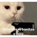 Stika