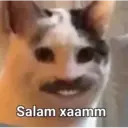 Stika