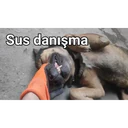Çıkartma