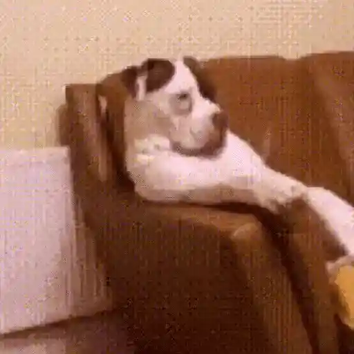ملصق